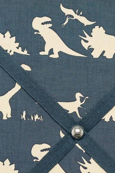Blue Dino Picture Board