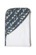 Dinosaur Blue Hooded Towel