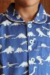 Dinosaur Blue Classic Pyjama