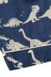 Dinosaur Blue Short Pyjamas 