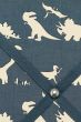 Blue Dino Picture Board